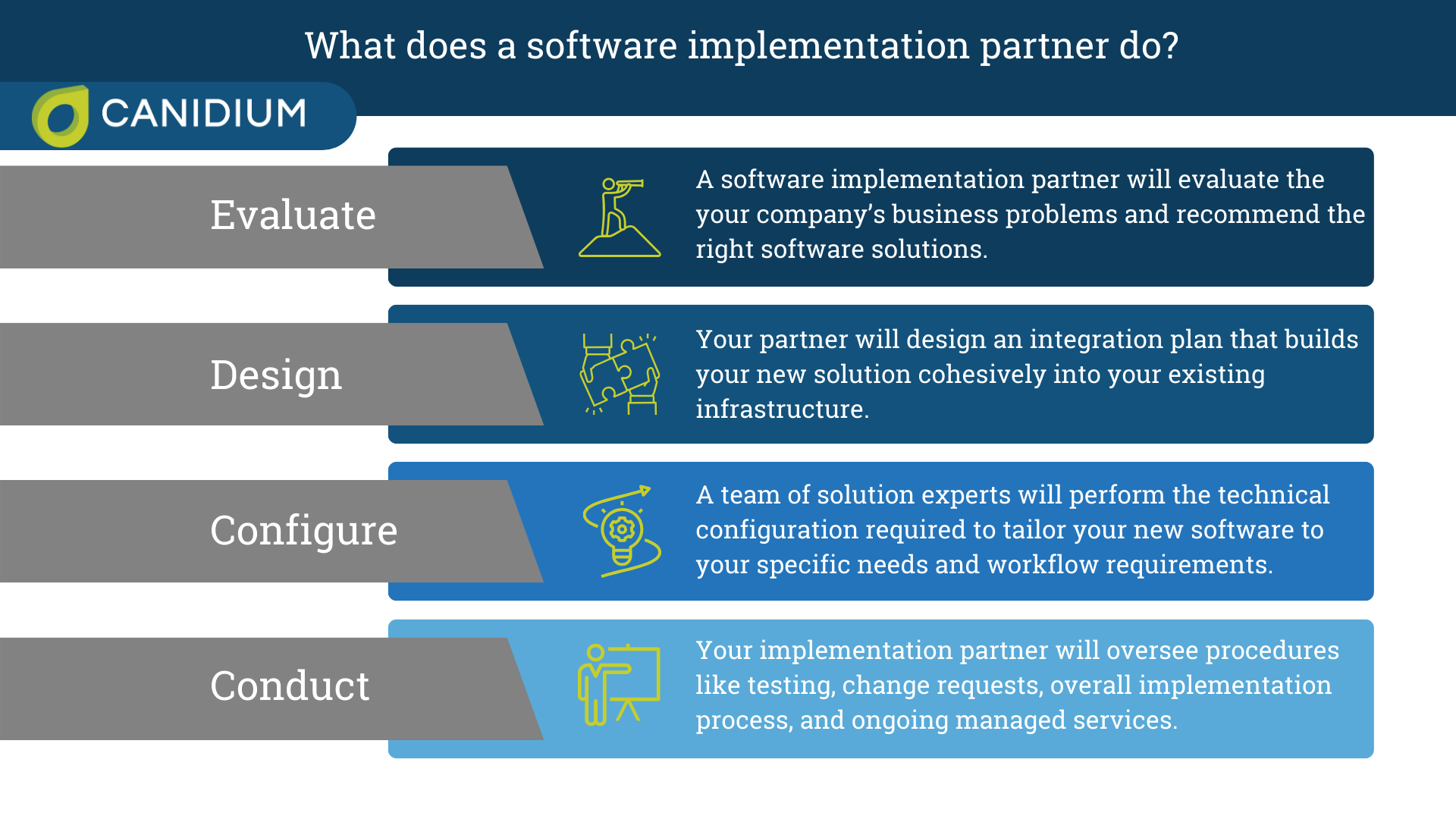 What does a software implementation partner do?