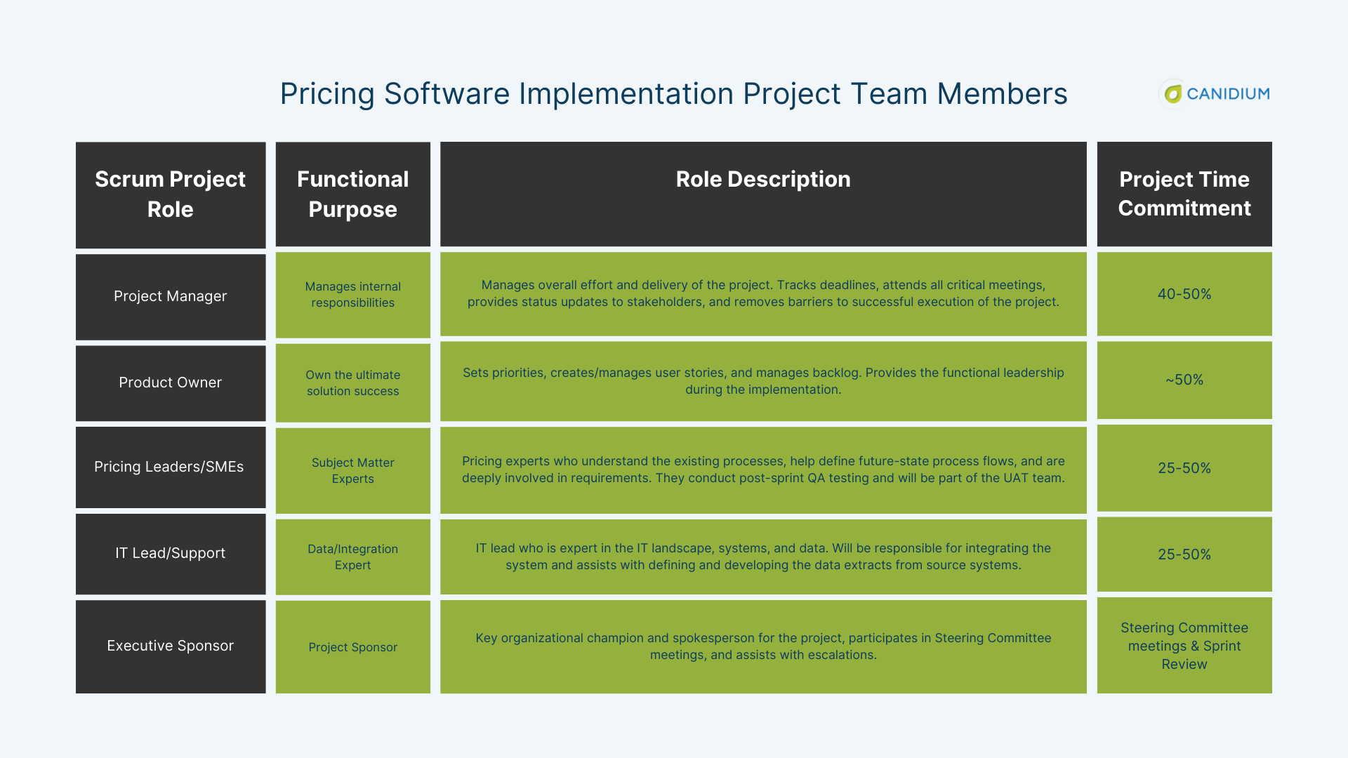 Pricing Software Implementation Project Team Members