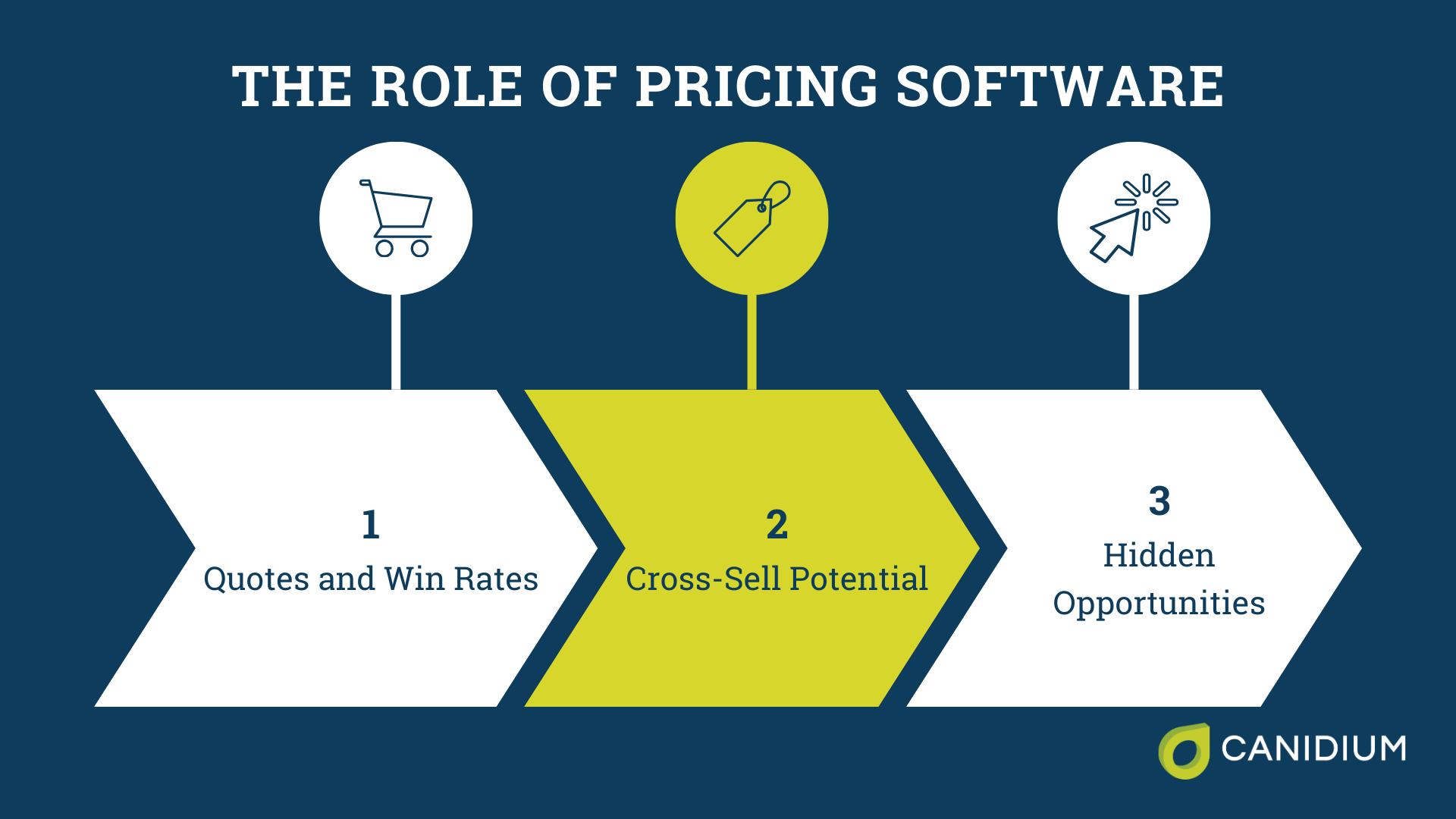 The Role of Pricing Software 
