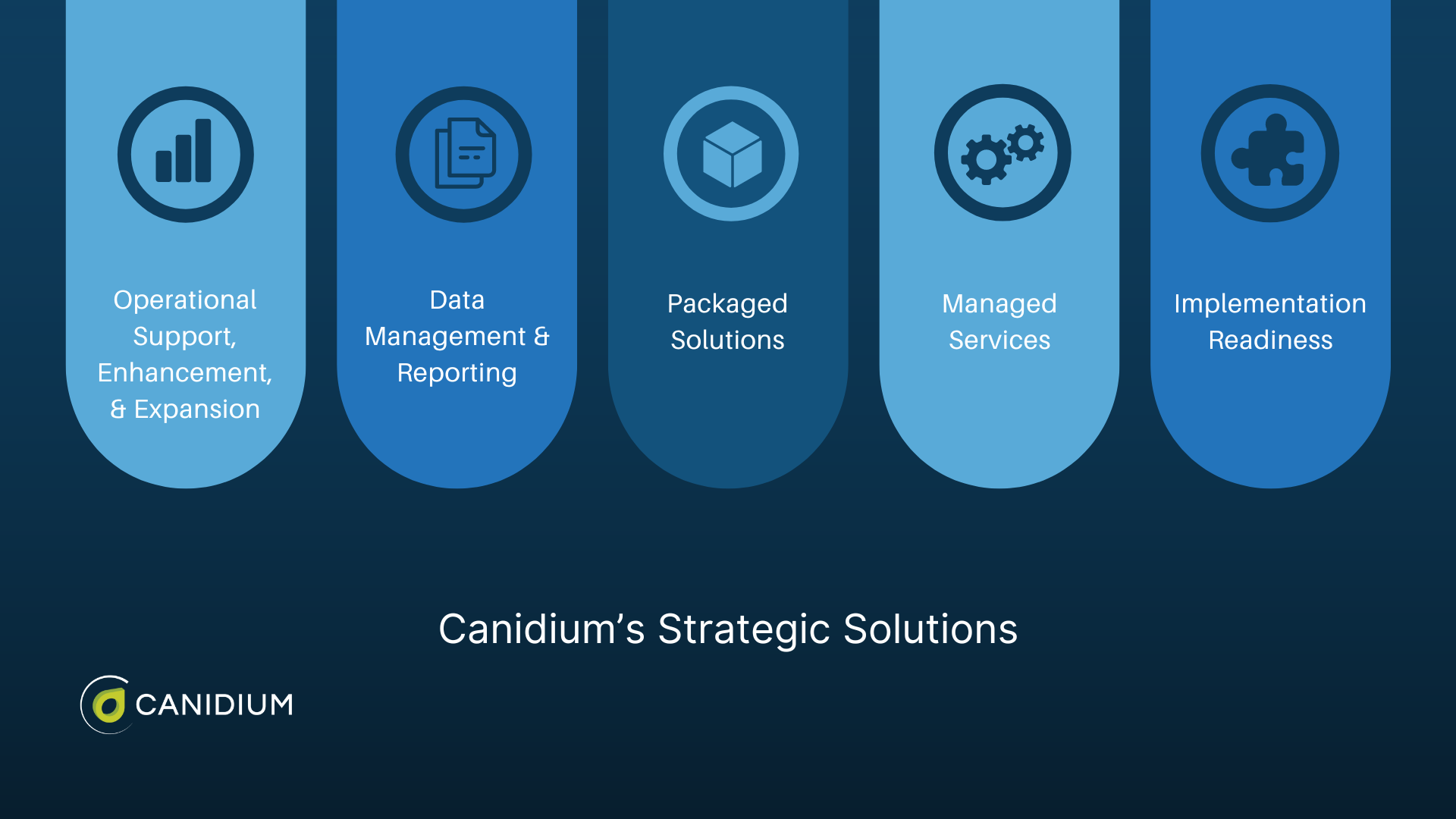 Strategic solutions Canidium offers