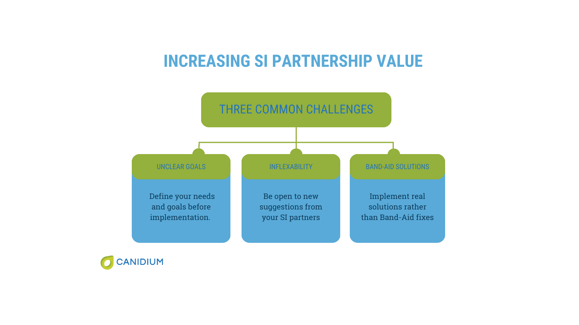 Increasing software implementation partnership value