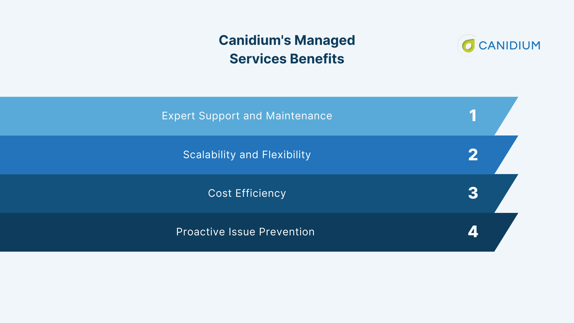 Canidium's Managed Services Benefits