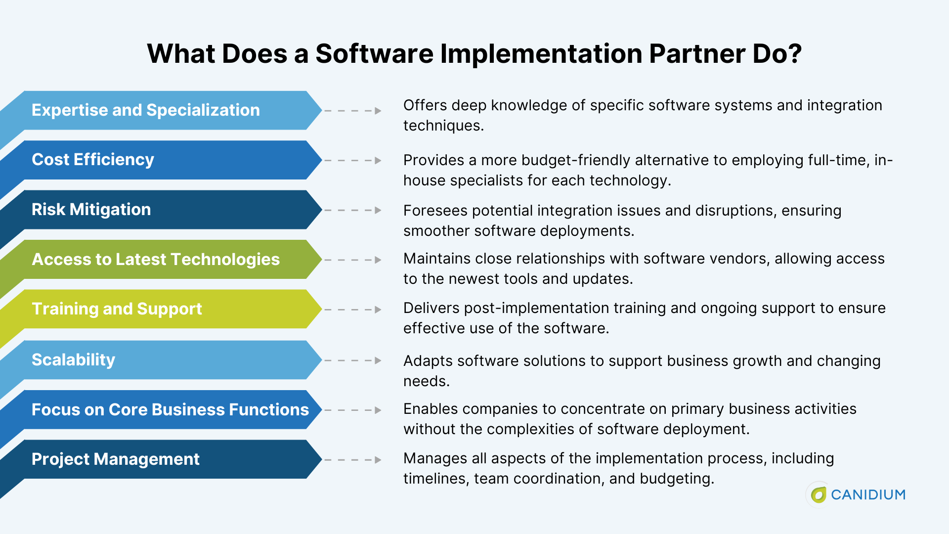 What Does a Software Implementation Partner Do?