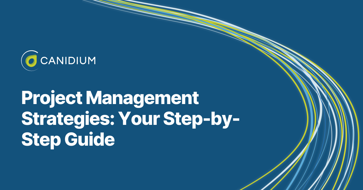 Read Project Management Strategies: Your Step-by-Step Guide