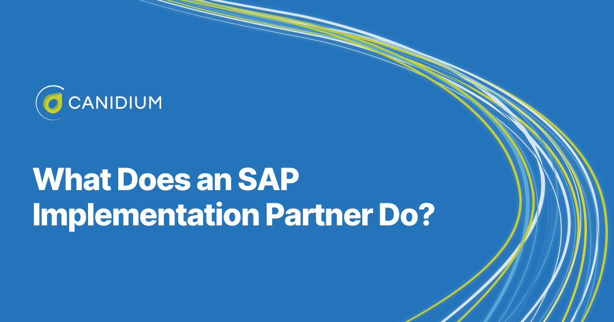 Read What Does an SAP Implementation Partner Do?