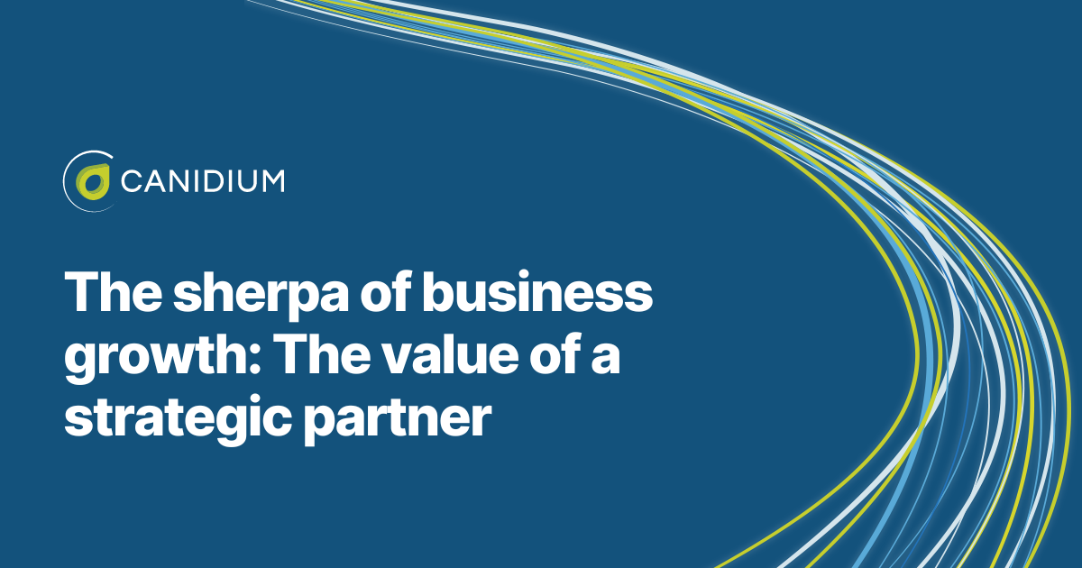 the sherpa of business growth: the value of a strategic partner
