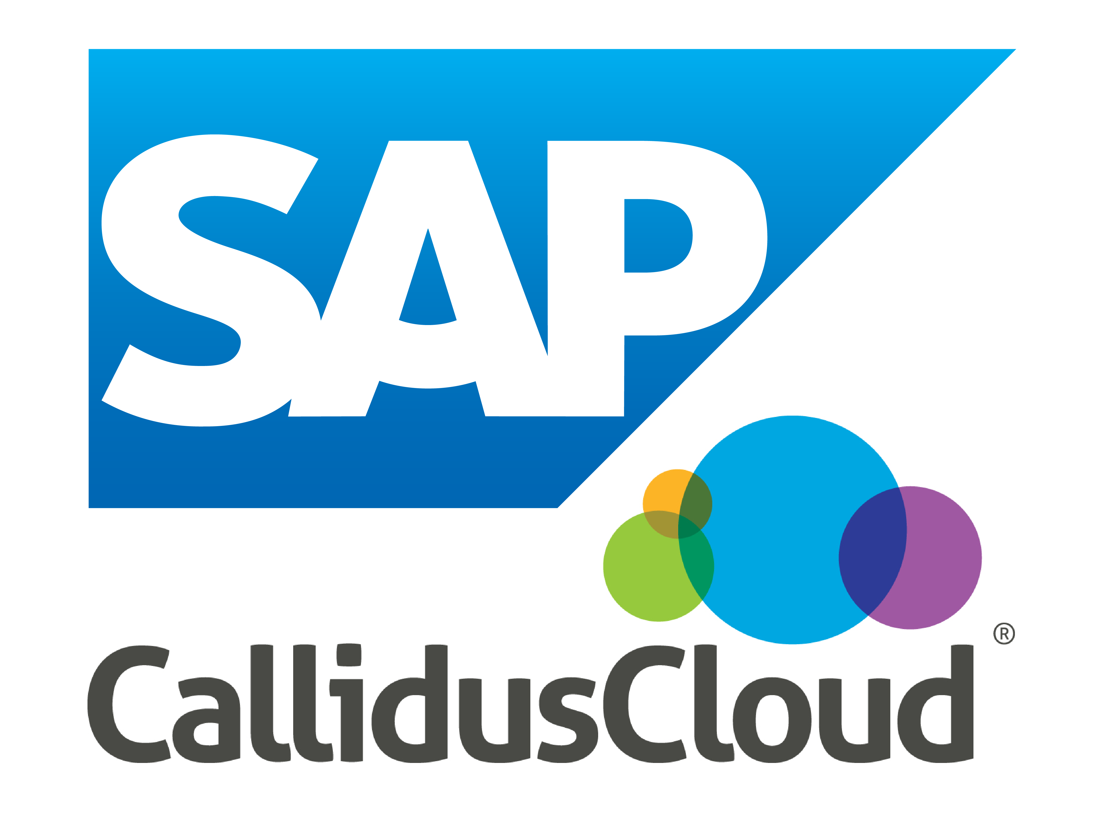 Digital Sales Excellence: Elevating the customer experience with SAP® Sales Cloud